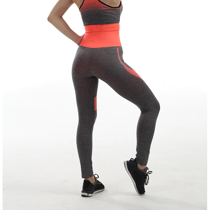 High Waisted Tummy Control Workout Women Seamless Yoga Leggings