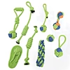 Nine-piece dog chew toy set