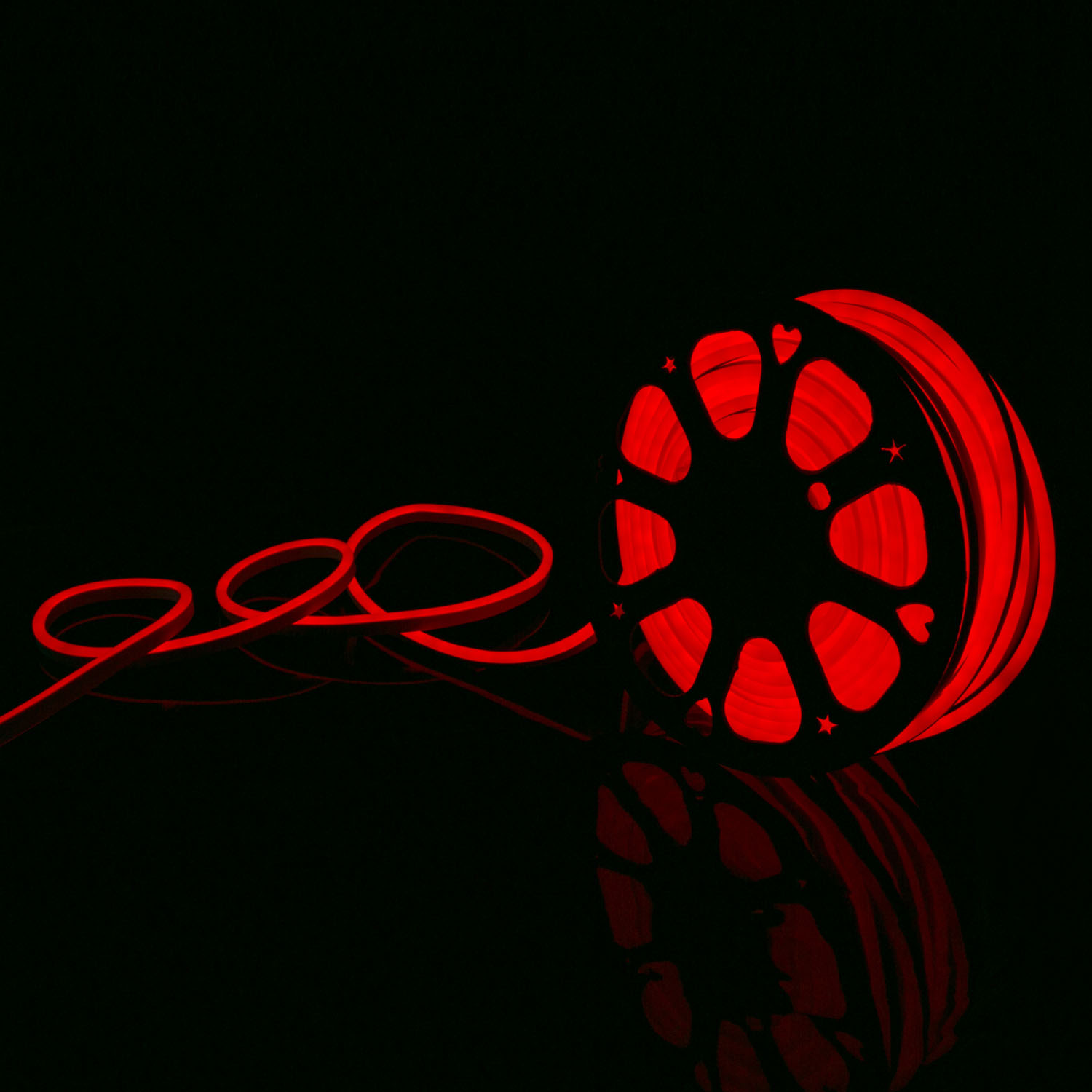 220V Silicone LED NEON STRIP