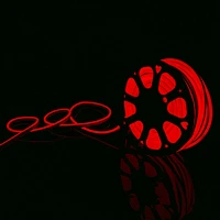 220V Silicone LED NEON STRIP