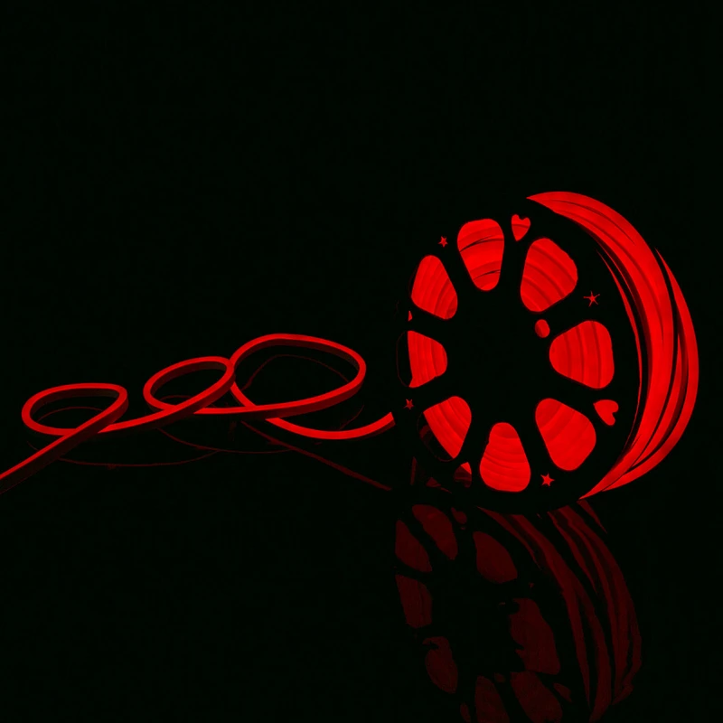 220V Silicone LED NEON STRIP