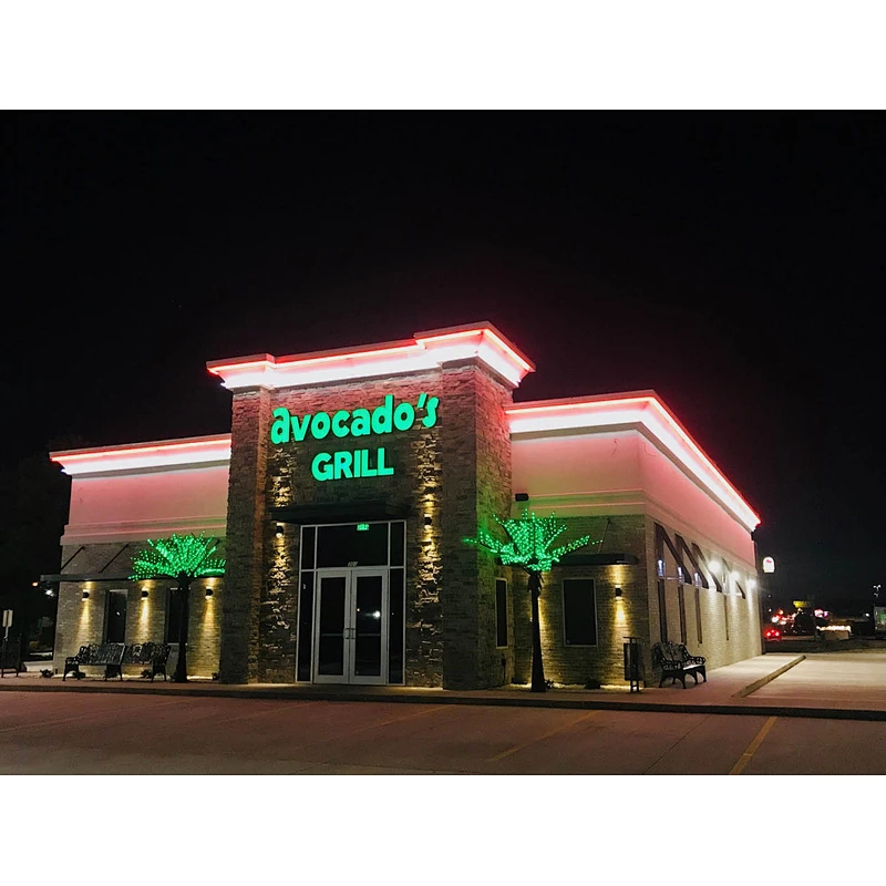 220V Silicone LED NEON STRIP