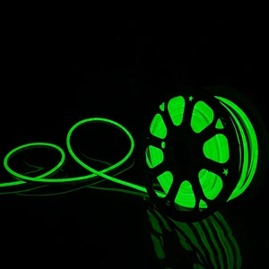 220V Silicone LED NEON STRIP