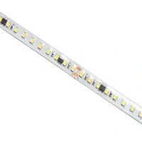 Super Thin SMD LED Strip AC110V/220V
