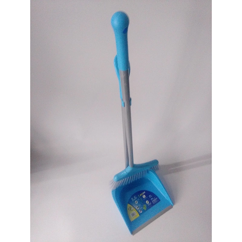 Dustpan with broom