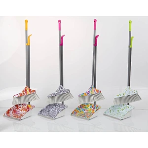 Dustpan with broom
