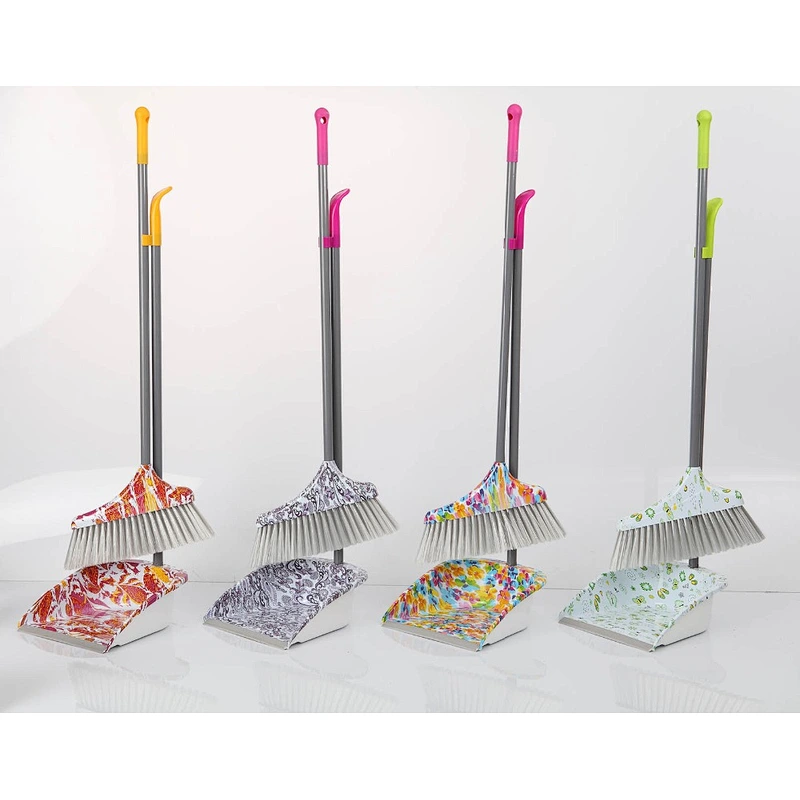 Dustpan with broom