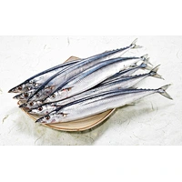 saury