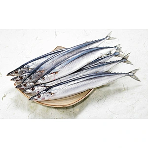 saury
