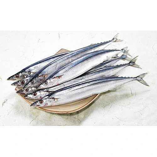 saury