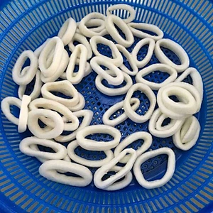 squid