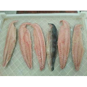 Mahi mahi