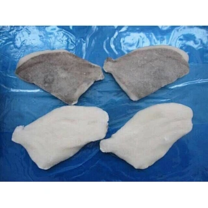 John dory