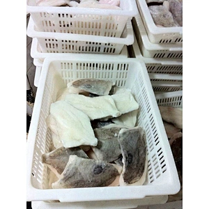 John dory
