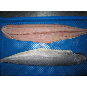 Mahi mahi