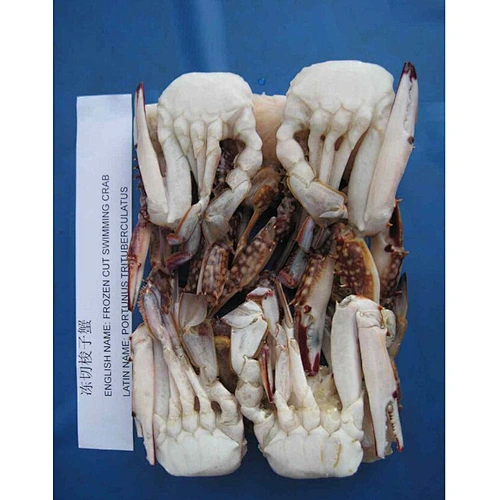 swimming crab