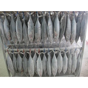 Skipjack