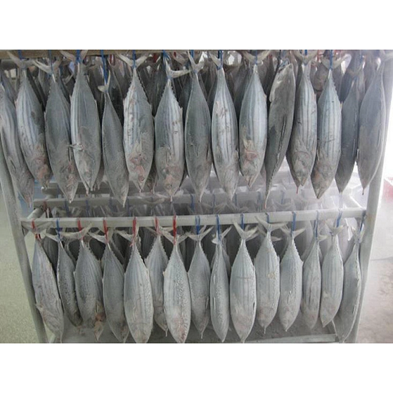 Skipjack