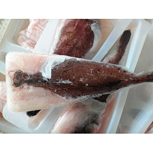 Monkfish