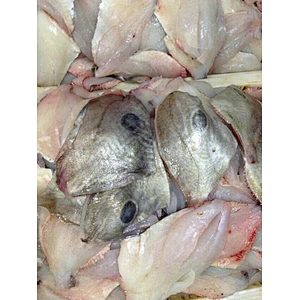 John dory