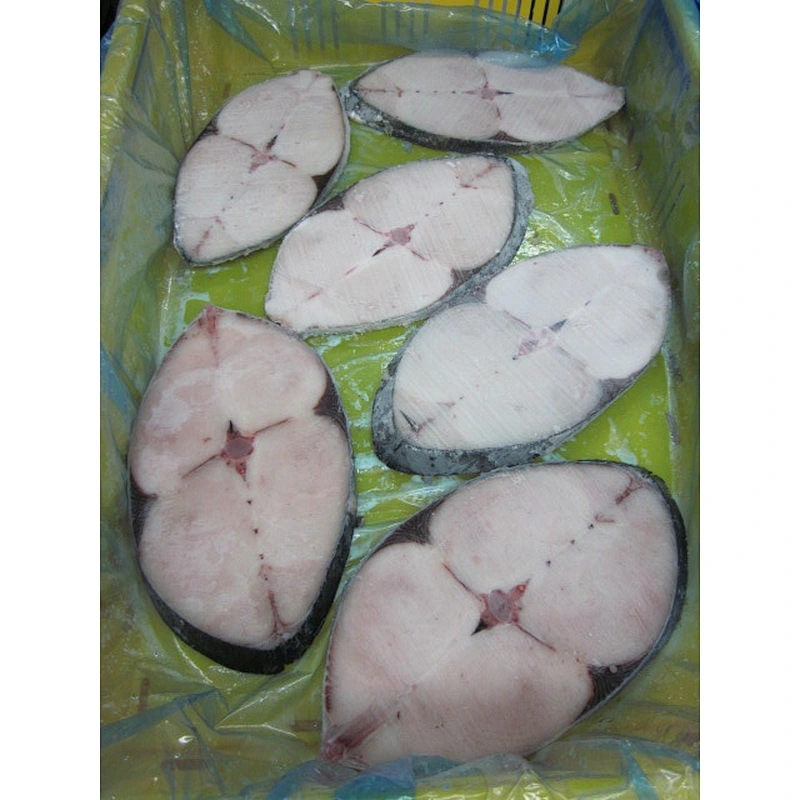spanish mackerel