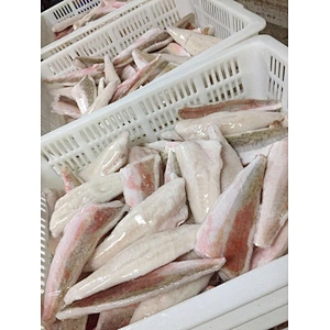 Red gurnard