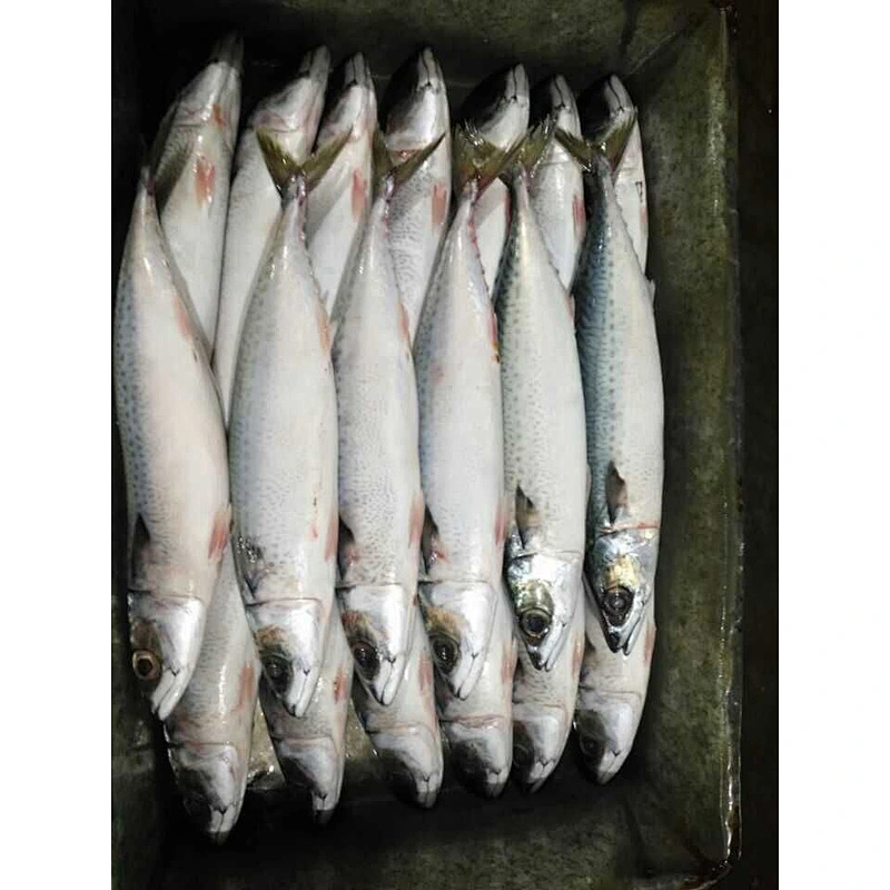 whole round