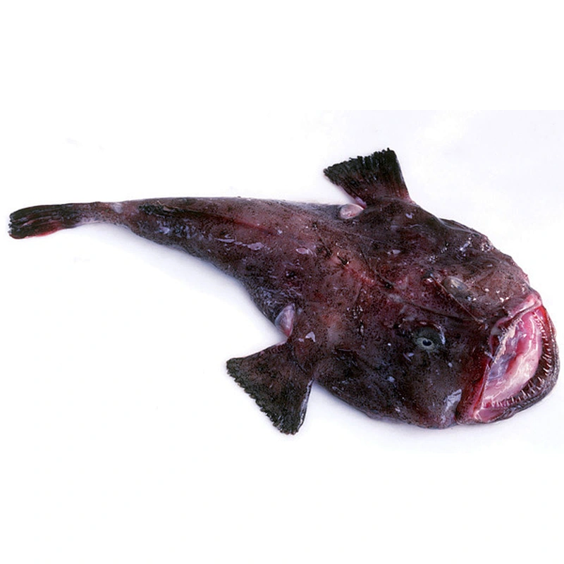Monkfish