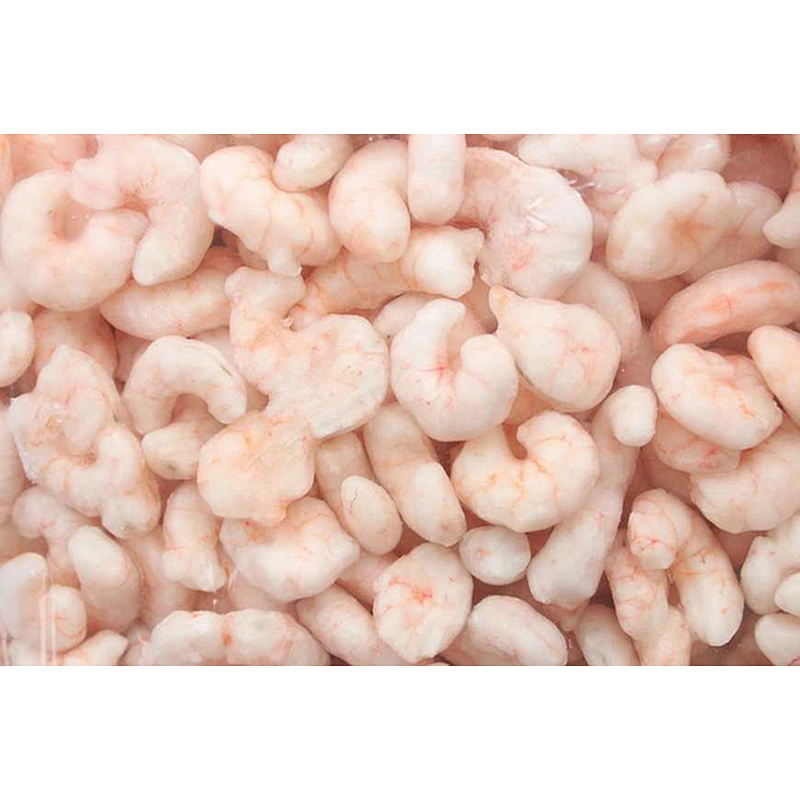 shrimp