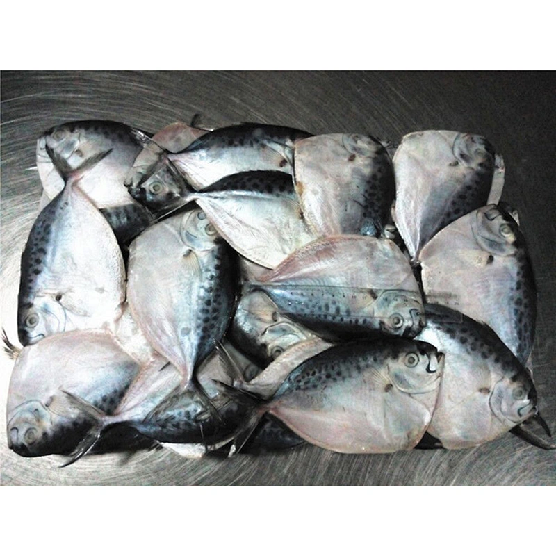moonfish