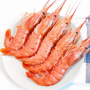 shrimp
