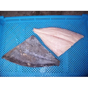 Brama FILLET