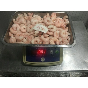shrimp