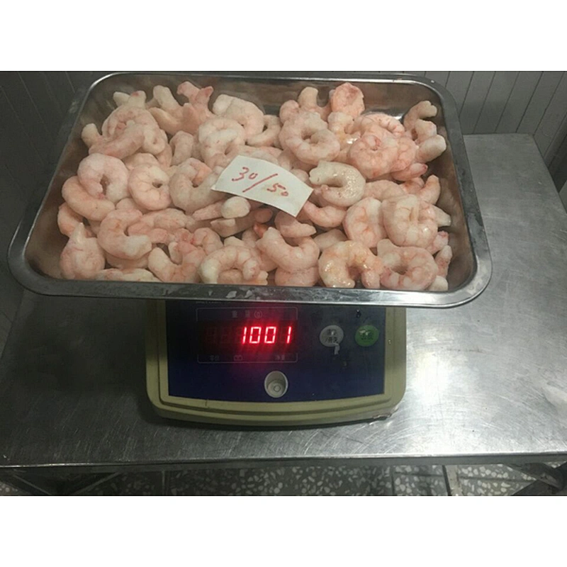 shrimp