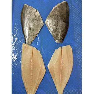 brama brama fillet