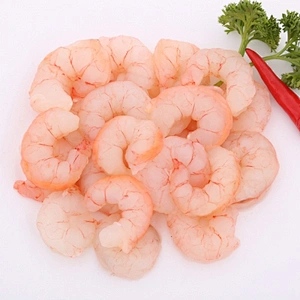 shrimp