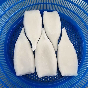 squid