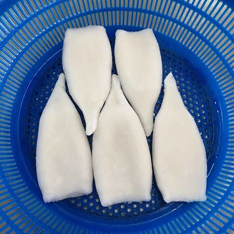 squid