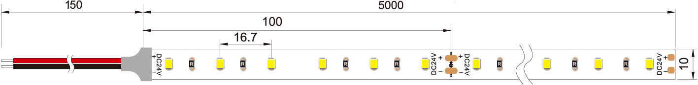 Dimensión de la 2835 240LED/M tira de led