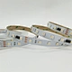 Tira Led WS2814 RGBW 24V 60leds/M