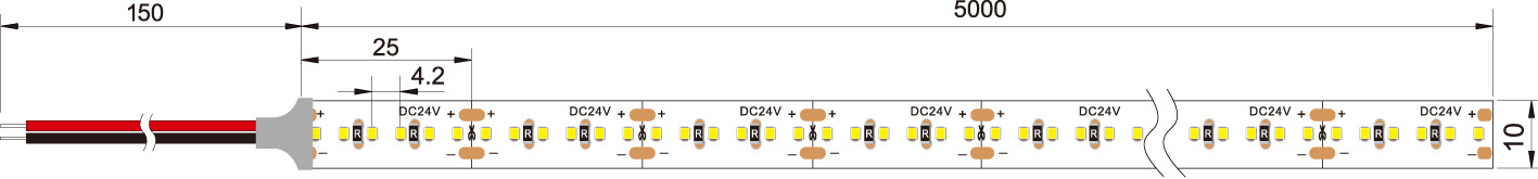 Dimensión de la 2216 240LED/M tira de led