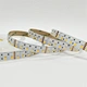 3838 2835 rgbw 240LED/M tira de led
