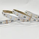Tira de led 5050 rgbw 4in1 72LED/M