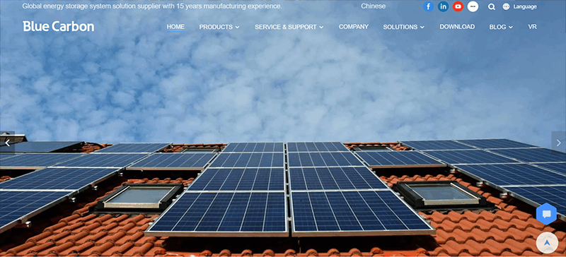 Blue Carbon Technology Inc.