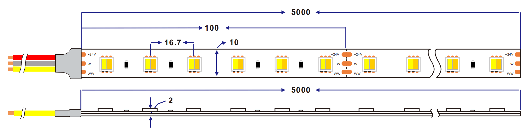 dimension of 5050 2in1 CCT adjustable led strip