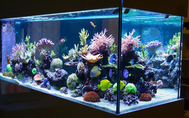 Aquarium led strip best sale