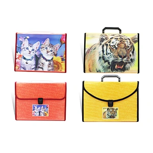 3D File Folder