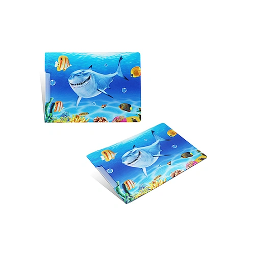 3D File Folder
