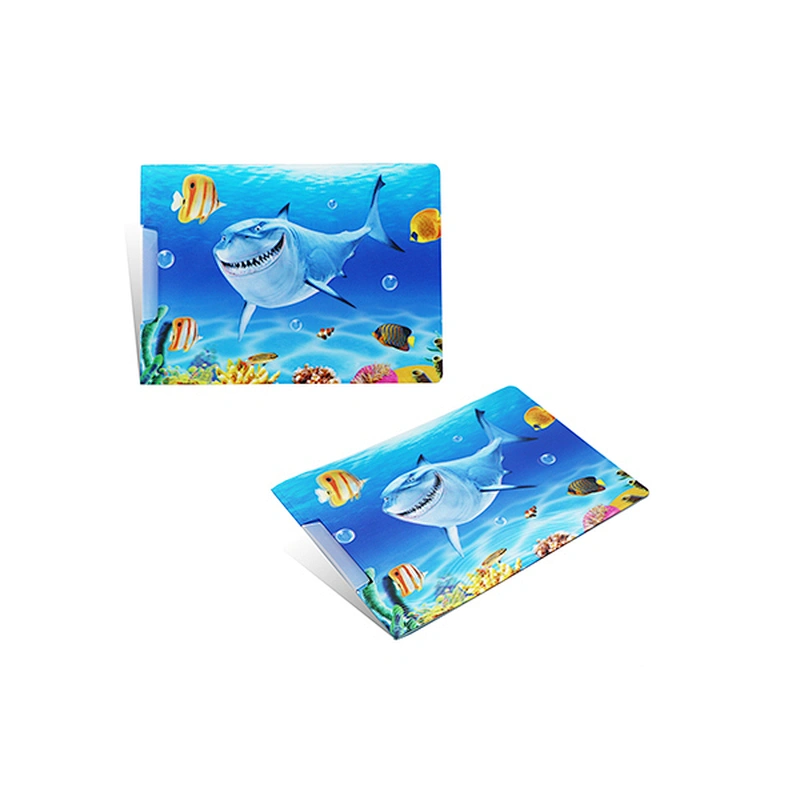 3D File Folder