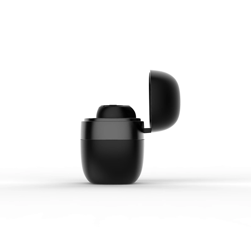 True Wireless Earphone